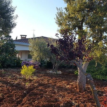 La Civetta Rodonisa Villa Conversano Exterior photo