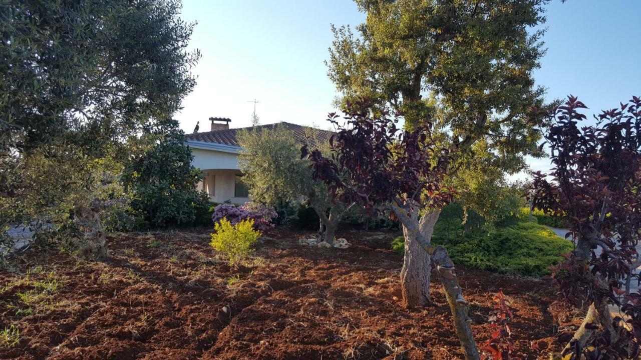 La Civetta Rodonisa Villa Conversano Exterior photo